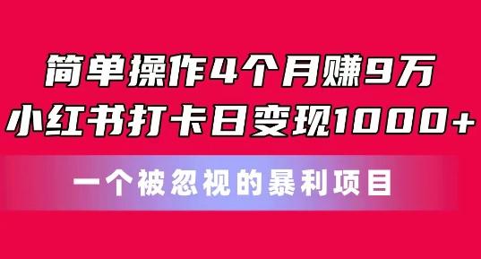简单操作4个月赚9w，小红书打卡日变现1k，一个被忽视的暴力项目【揭秘】-网创小站