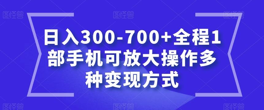 日入300-700+全程1部手机可放大操作多种变现方式【揭秘】-网创小站
