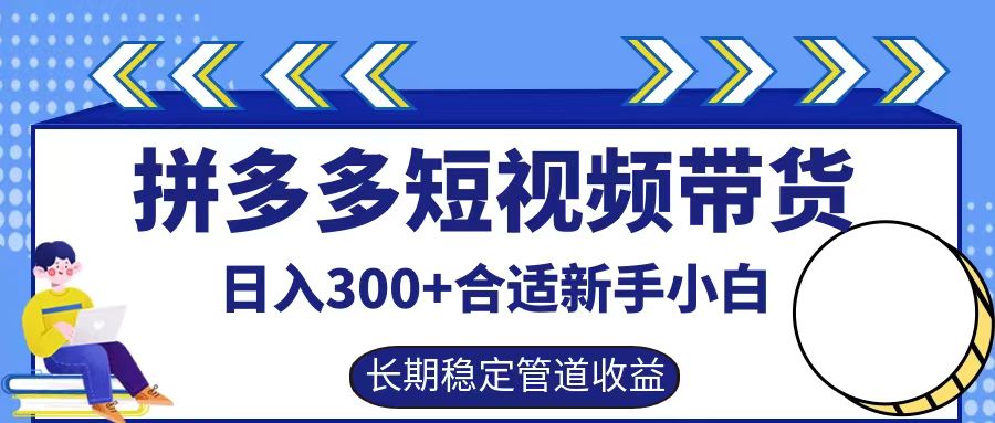 拼多多短视频带货日入300+，实操账户展示看就能学会-网创小站
