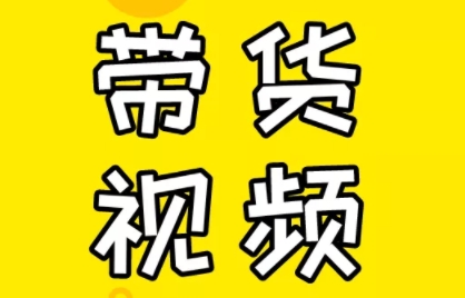 芒果老师·教你做抖音短视频和直播带货-网创小站