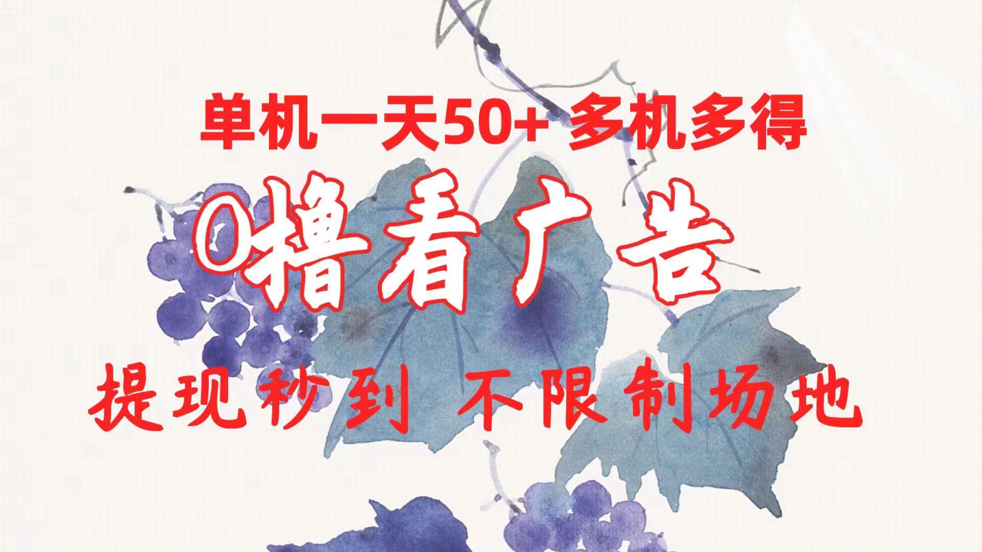 0撸看广告 单机一天50+多机多得 提现秒到 不限制场地操作-网创小站
