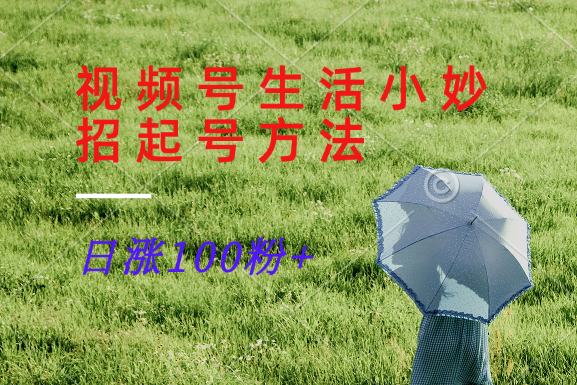 视频号生活小妙招分享赛道， 起号涨粉新方法，日涨100粉-网创小站