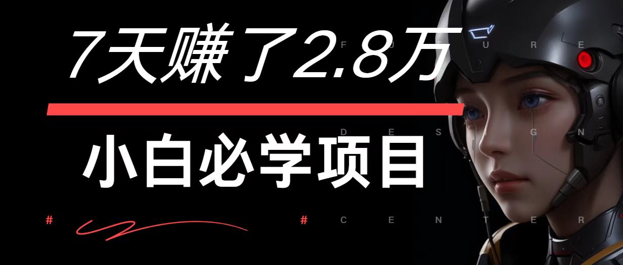 7天赚了2.8万！每单利润最少500+，轻松月入7万+小白有手就行-网创小站