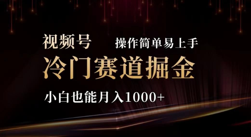 2024视频号冷门赛道掘金，操作简单轻松上手，小白也能月入1000+-网创小站