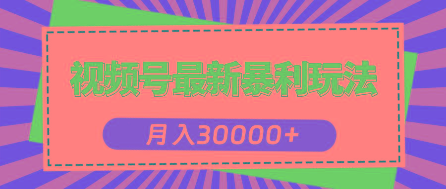 视频号最新暴利玩法，轻松月入30000+-网创小站