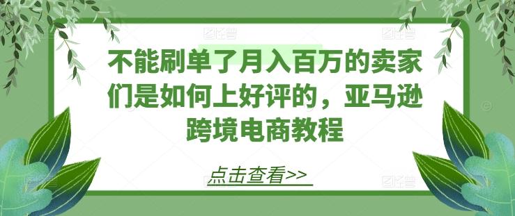不能刷单了月入百万的卖家们是如何上好评的，亚马逊跨境电商教程-网创小站
