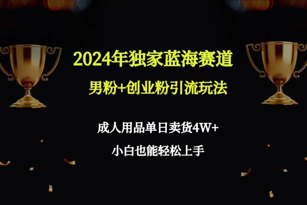 2024年独家蓝海赛道男粉+创业粉引流玩法，成人用品单日卖货4W+保姆教程-网创小站