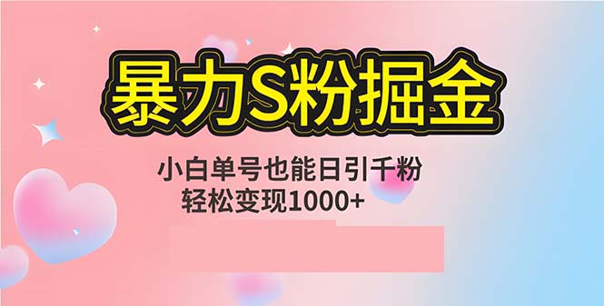 单人单机日引千粉，变现1000+，S粉流量掘金计划攻略-网创小站