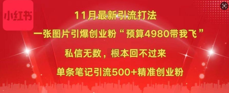 小红书11月最新图片打粉，一张图片引爆创业粉，“预算4980带我飞”，单条引流500+精准创业粉-网创小站