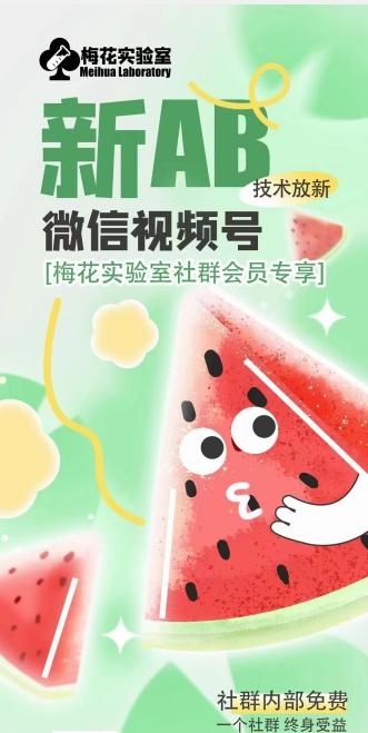 梅花实验室2024年AB技术视频号AB合成破解版-网创小站