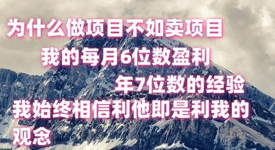 做项目不如卖项目，每月6位数盈利，年7位数经验-网创小站
