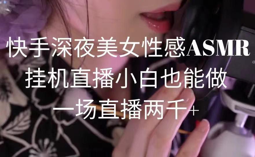 快手深夜美女性感ASMR挂机直播，小白也能做，一场直播两千+-网创小站