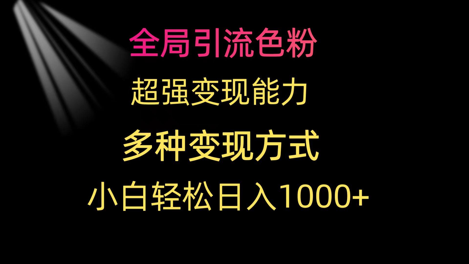 (9680期)全局引流色粉 超强变现能力 多种变现方式 小白轻松日入1000+-网创小站