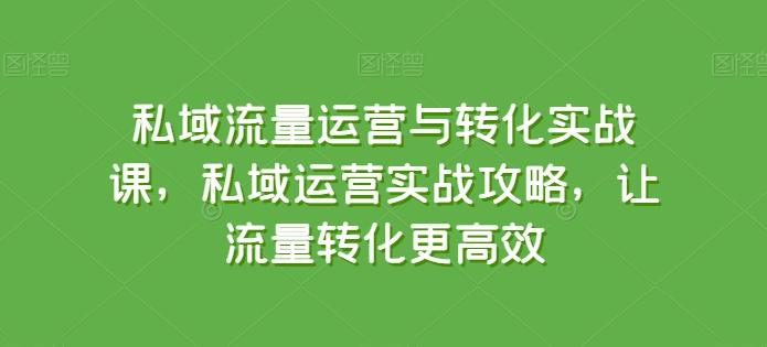 私域流量运营与转化实战课，私域运营实战攻略，让流量转化更高效-网创小站