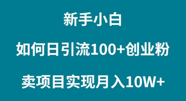 (9556期)新手小白如何通过卖项目实现月入10W+-网创小站