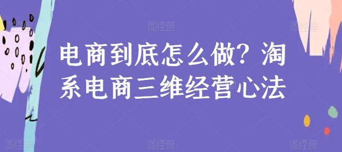 电商到底怎么做？淘系电商三维经营心法-网创小站