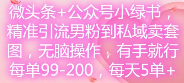 微头条+公众号小绿书，精准引流男粉到私域卖套图，无脑操作，有手就行，每单99-200，每天5单-网创小站