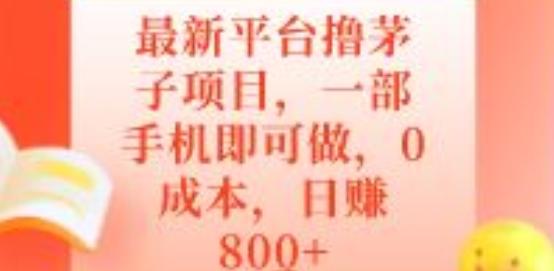 最新平台撸茅子项目，一部手机即可做，0成本，日赚800+-网创小站