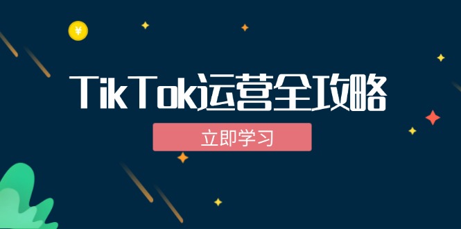TikTok实战运营全攻略：从下载软件到变现，抖音海外版实操教程-网创小站