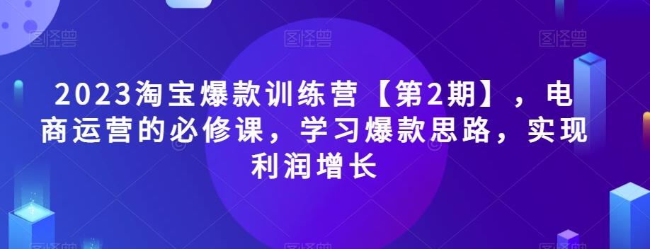 2023淘宝爆款训练营【第2期】，电商运营的必修课，学习爆款思路，实现利润增长-网创小站