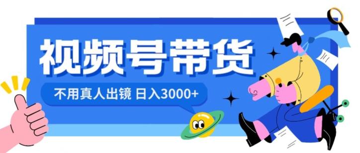 视频号带货，日入3000+，不用真人出镜-网创小站