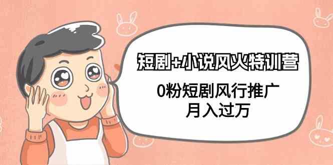 小说+短剧风火特训营，0粉短剧小说风行推广，实现月入过万-网创小站