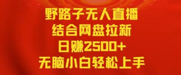 野路子无人直播结合网盘拉新，日赚2500+，小白无脑轻松上手【揭秘】-网创小站